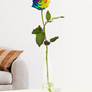 Enkele regenboog roos, inclusief vaasje