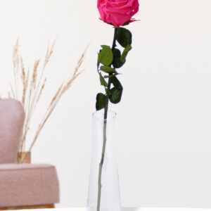 Enkele roze long life roos inclusief vaasje
