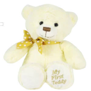 Net zwanger cadeautje "My first Teddy" 28 cm