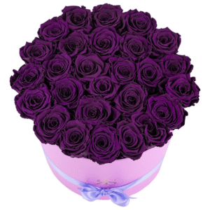 Flowerbox longlife Aaliyah