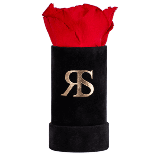 Flowerbox longlife Ivy I love you