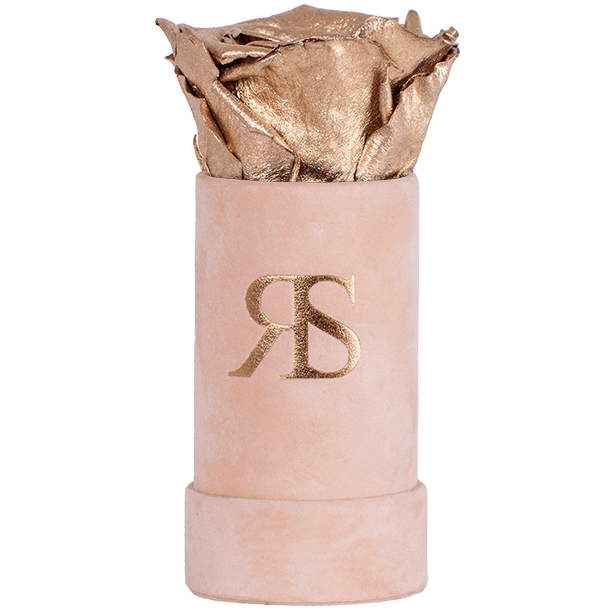 Flowerbox longlife Ivy Pure and divine