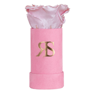 Flowerbox longlife Ivy You are delicious