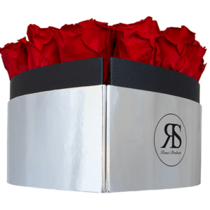 Flowerbox longlife Lois