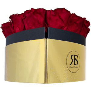 Flowerbox longlife Norah