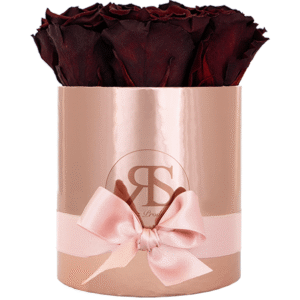 Flowerbox longlife Zara chocolate