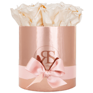 Flowerbox longlife Zara metallic champagne