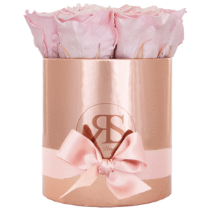 Flowerbox longlife Zara metallic strawberry