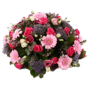 Rouwbiedermeier roze Germini