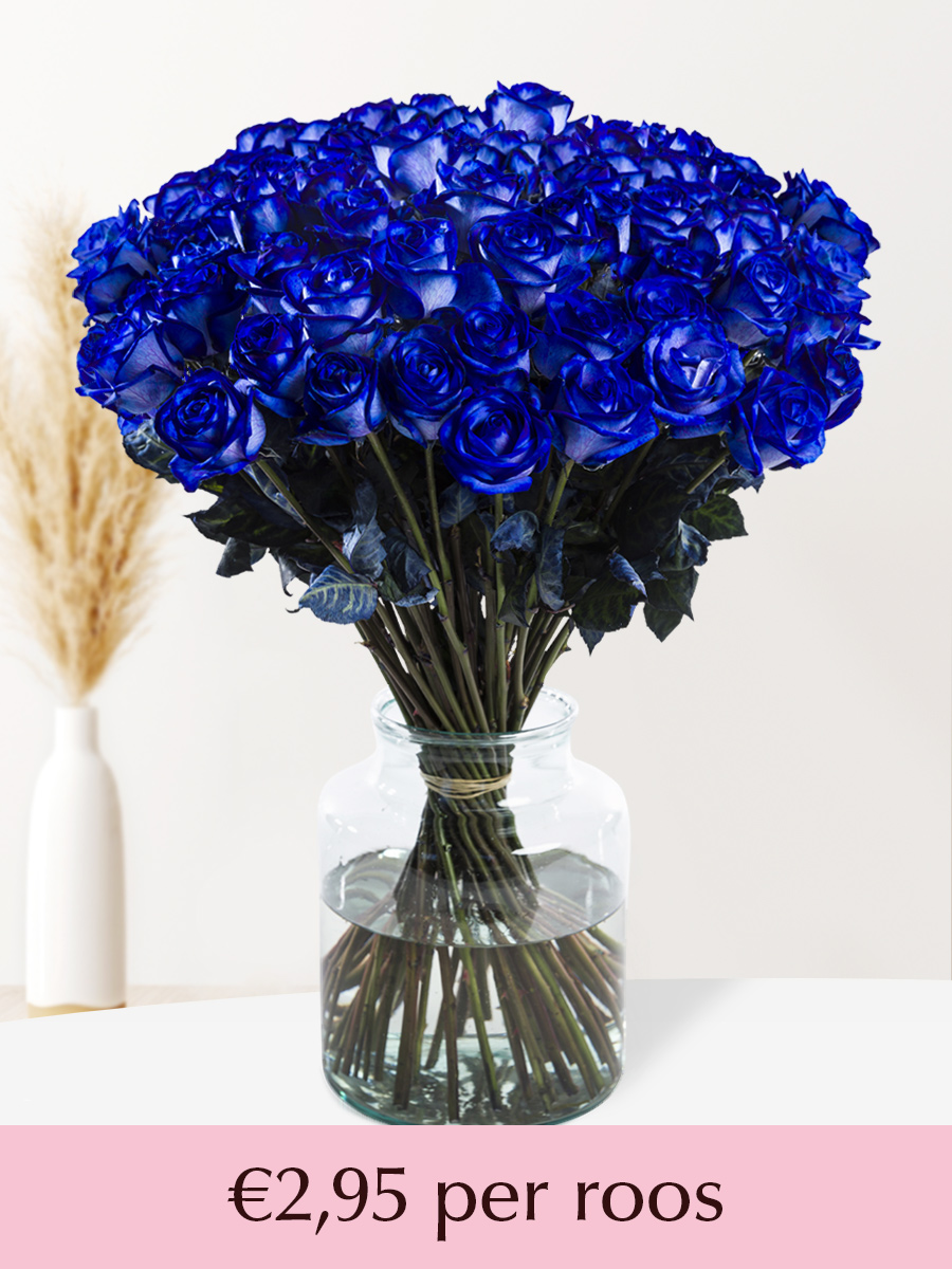 50 t/m 99 blauwe rozen - XL rozen