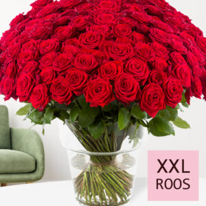 500 tot en met 1001 rode rozen - XXL rozen - Red Naomi