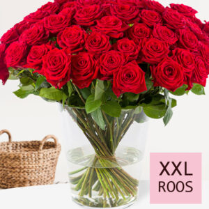 Rode rozen - XXL rozen 65 cm - 10 t/m 99 rozen - Red Naomi