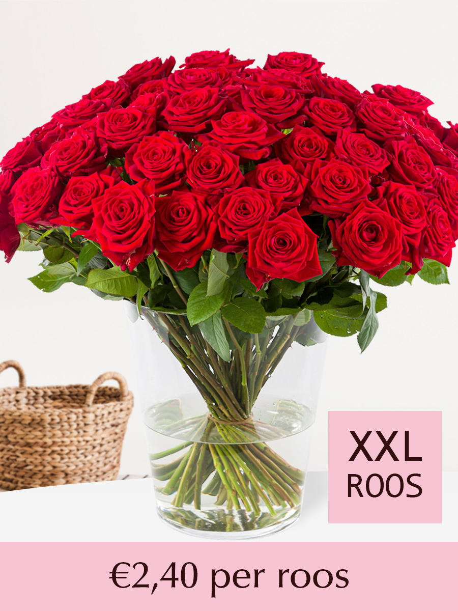 Rode rozen - XXL rozen 65 cm - 10 t/m 99 rozen - Red Naomi