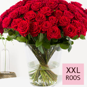 Rode rozen (Red Naomi) - Kies je aantal 10 t/m 99 - Valentijnsdag
