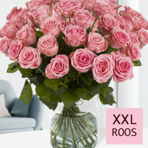 100 tot en met 500 roze rozen (Sophia Loren)