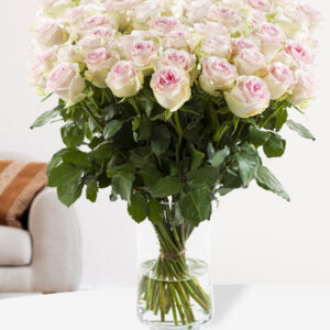 100 tot en met 499 zachtroze rozen - XL rozen - Sweet Revival
