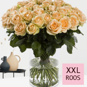 Zalmkleurige rozen - Kies je aantal - 10 t/m 99 rozen