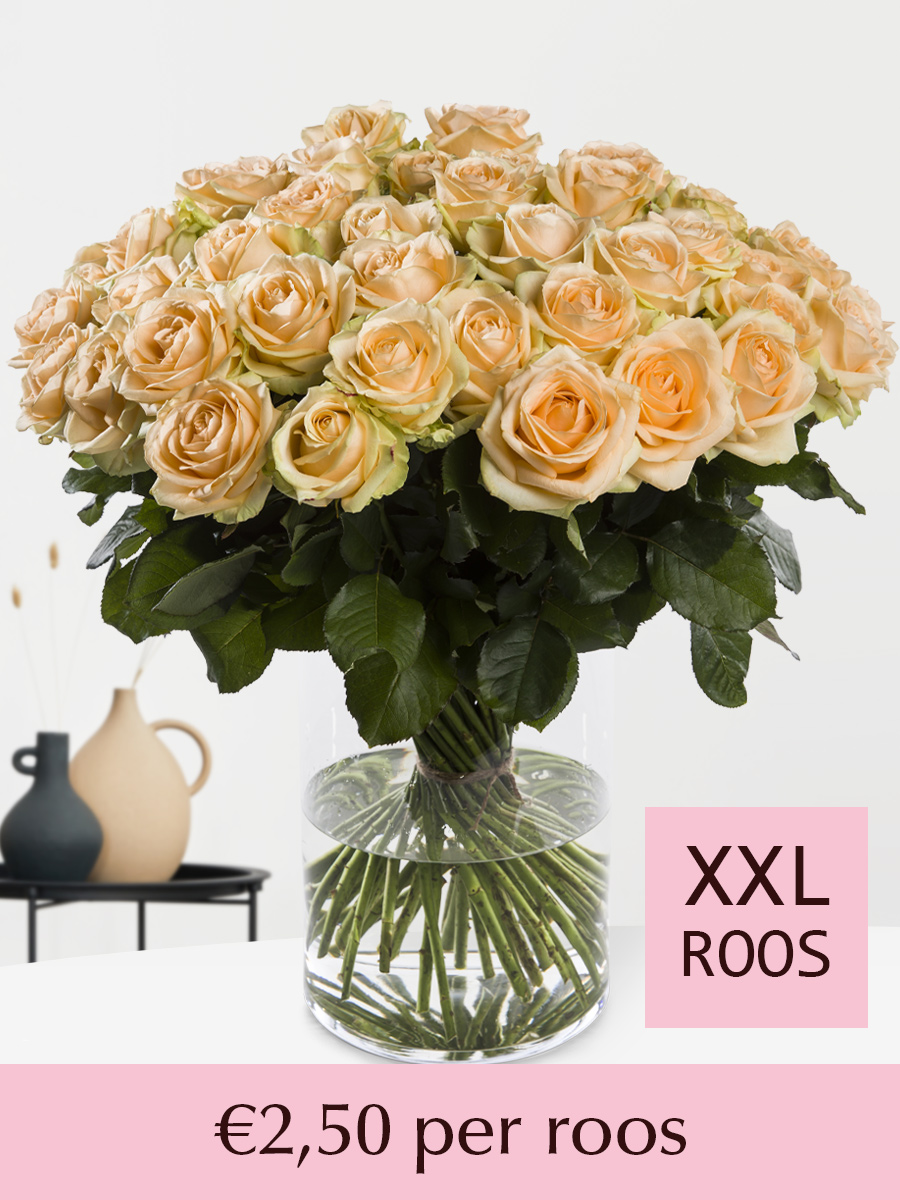 Zalmkleurige rozen - Kies je aantal - 10 t/m 99 rozen
