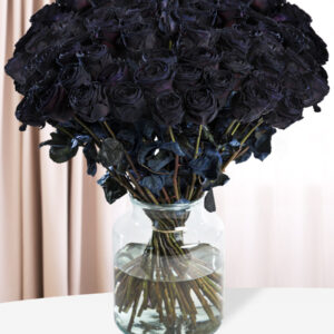 100 t/m 500 zwarte rozen - XL rozen