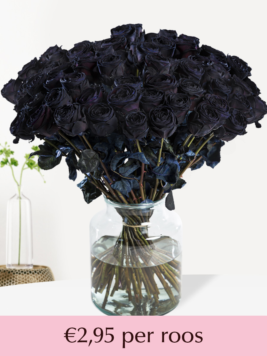 50 t/m 99 zwarte rozen