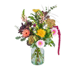 Plukboeket WelGeschikt