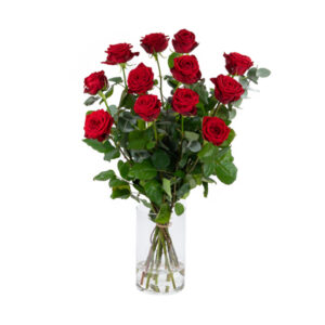 Rode rozen 70cm