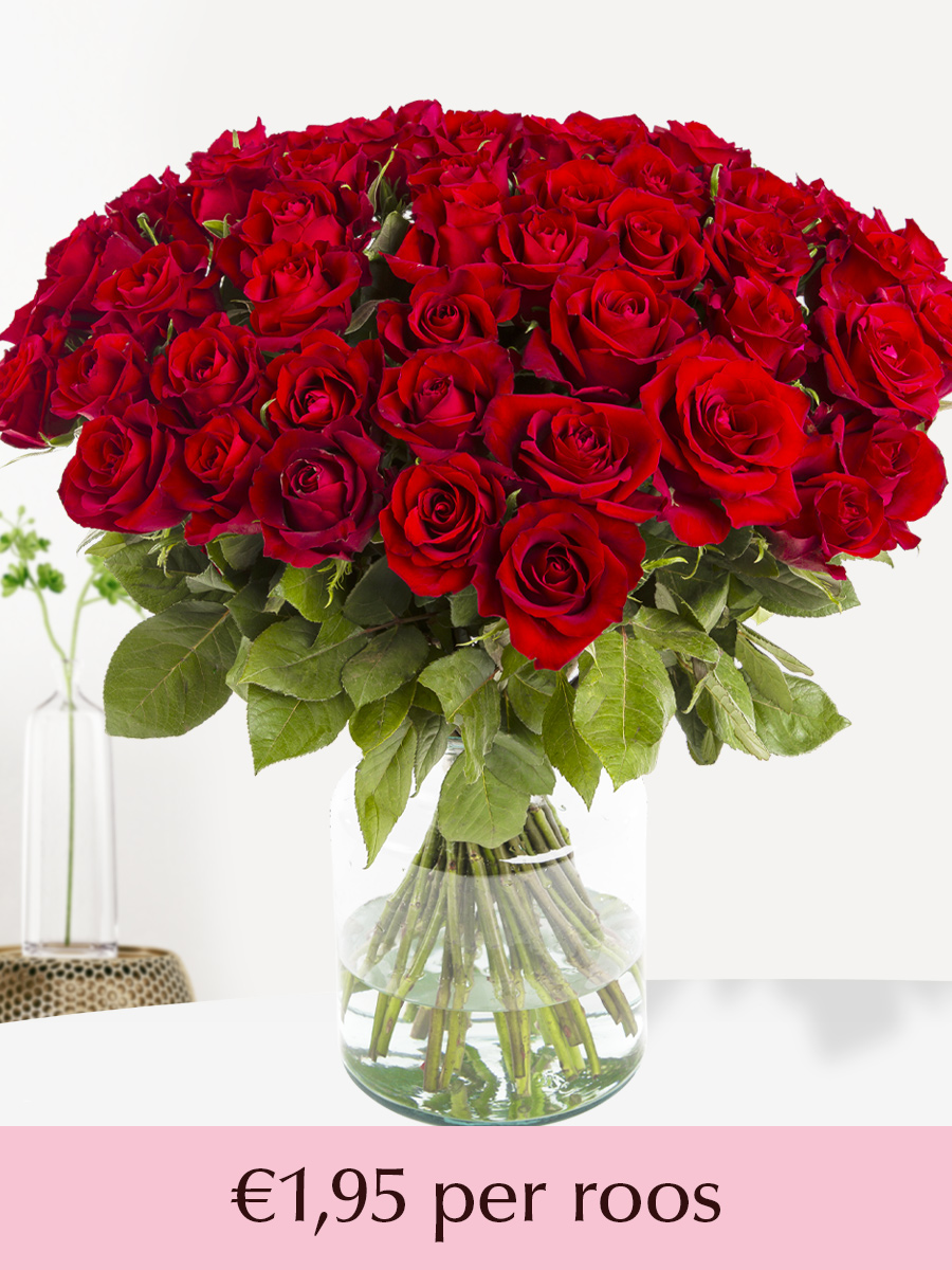 Rode rozen - XL rozen 60 cm - 10 t/m 99 rozen - EverRed