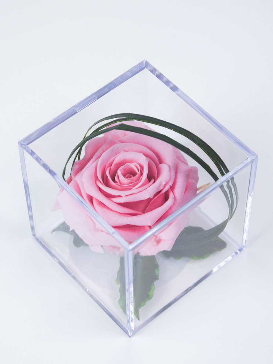 Roze eeuwige roos in acrylbox | Long life roos