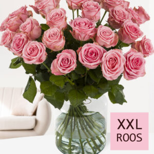 Roze rozen XXL - Kies je aantal (Sophia Loren) - 10 t/m 99 rozen