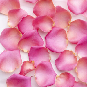 Roze rozenblaadjes - Revival