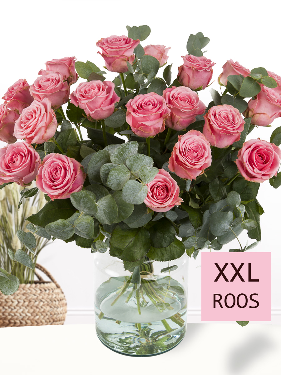 XL roze rozenboeket - Sophia Loren