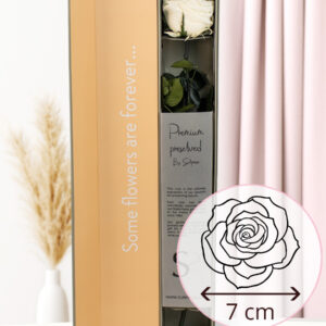 Witte premium long life roos in geschenkdoos | 50 cm