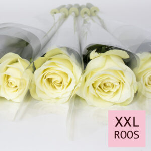Witte rozen per stuk verpakt - Snowstorm - 10 t/m 99 stuks