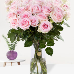 Zachtroze rozen - XL rozen - 10 t/m 99 rozen - Sweet Revival