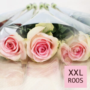 Zachtroze rozen per stuk verpakt - Sweet Revival - 10 t/m 99 stuks