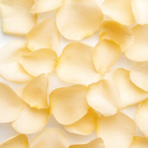 Zalmkleurige rozenblaadjes